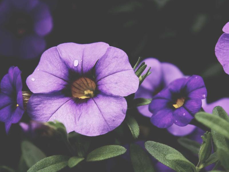 android screenshot 4