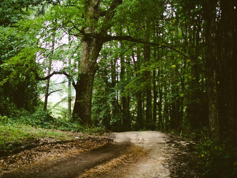 sudoku pattern learning screenshot 4